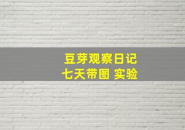 豆芽观察日记七天带图 实验